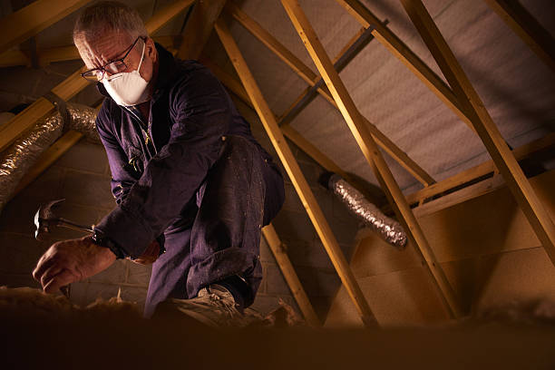 Best Wall Insulation Contractor  in Andalusia, IL